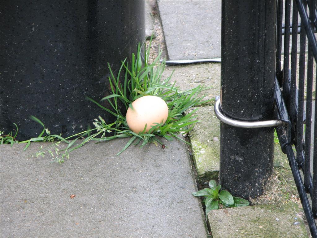 2008_03_22_paaseieren (116).jpg